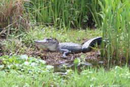 2024 Tickfaw 200 Friday Sun Buns (1025).JPG